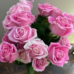 Meet your Posher, Meaghan